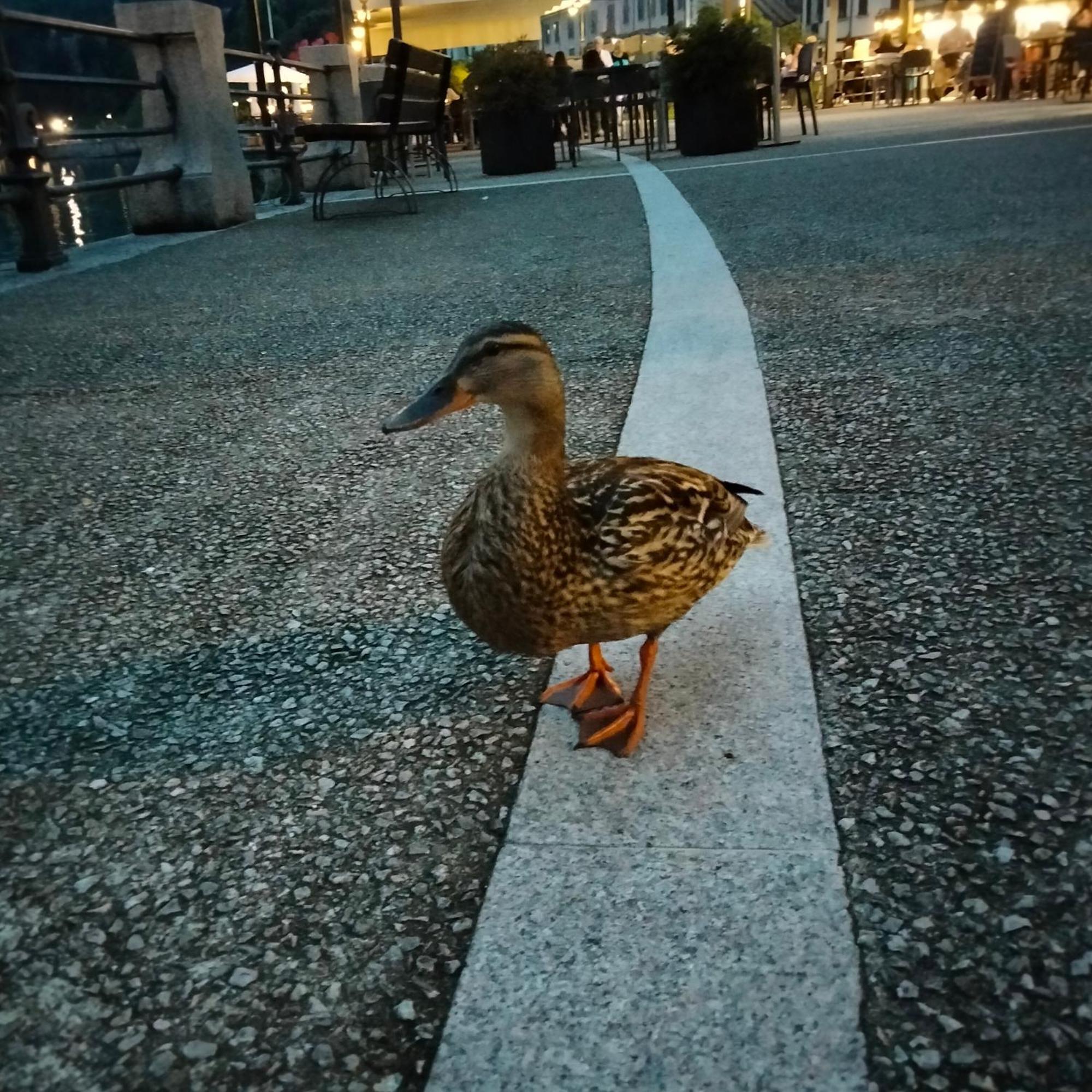 Doba House Daire Baveno Dış mekan fotoğraf